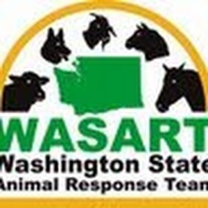 Meet your Posher, Gretchen